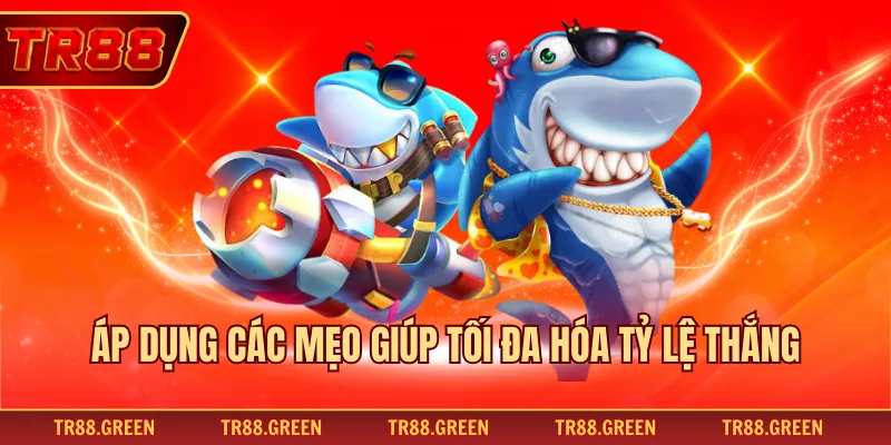 Áp dụng các mẹo giúp tối đa hóa tỷ lệ thắng