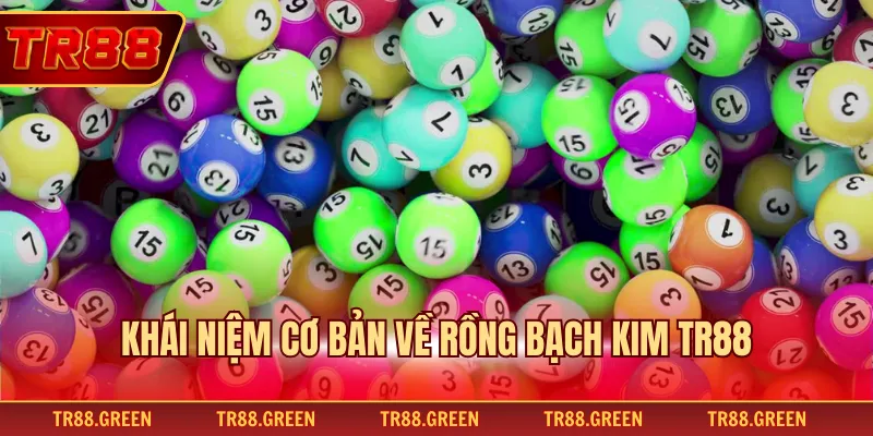 Khái niệm cơ bản về Rồng bạch kim TR88